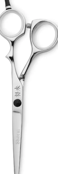 Shōrai Classic 5"