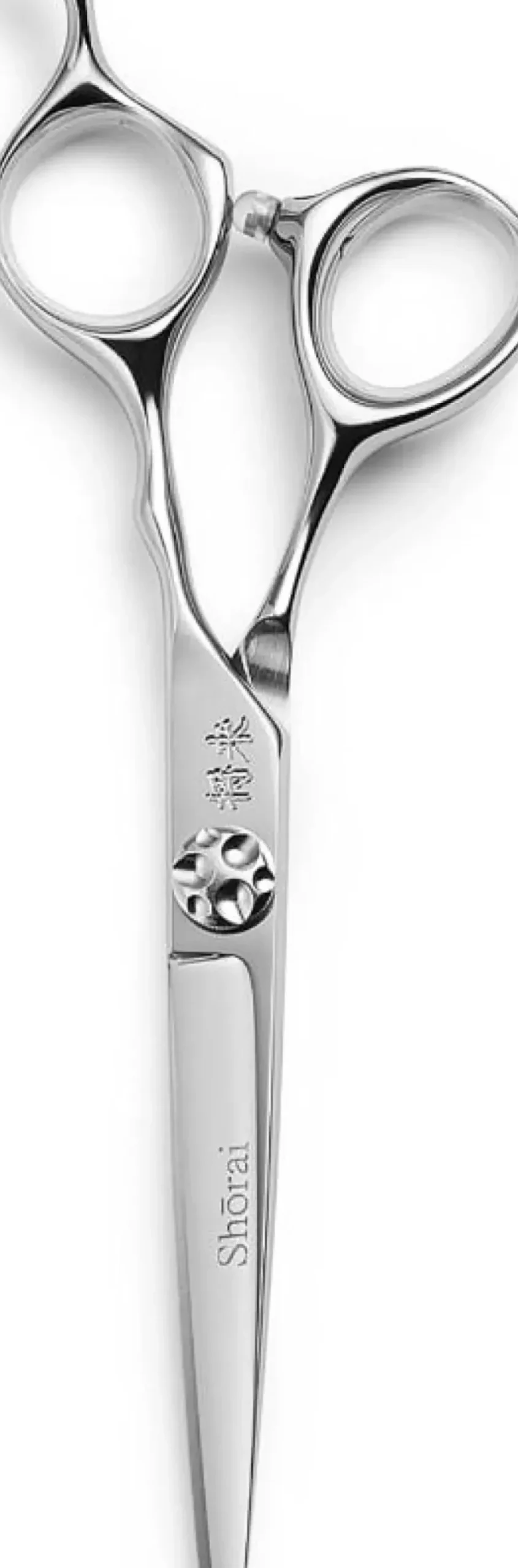 Shōrai SC 6.5"