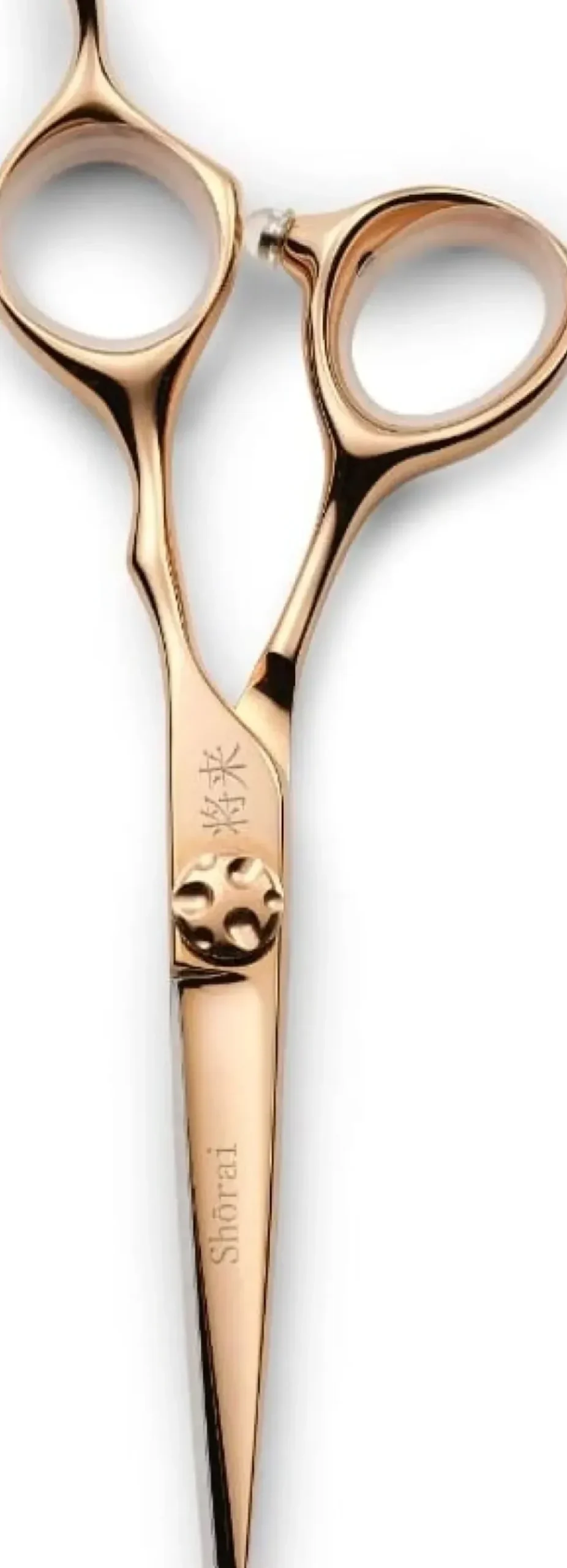 Shōrai Sharp Cut Rose Gold 5.5"