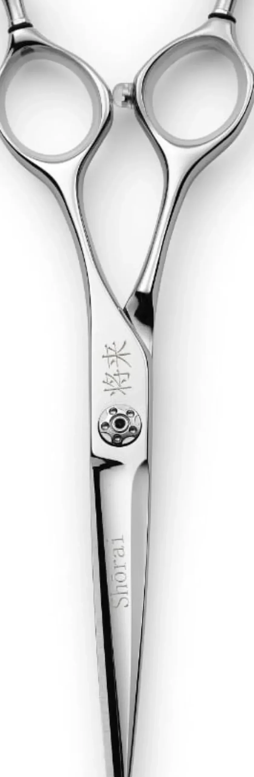Shōrai Symmetric 6"
