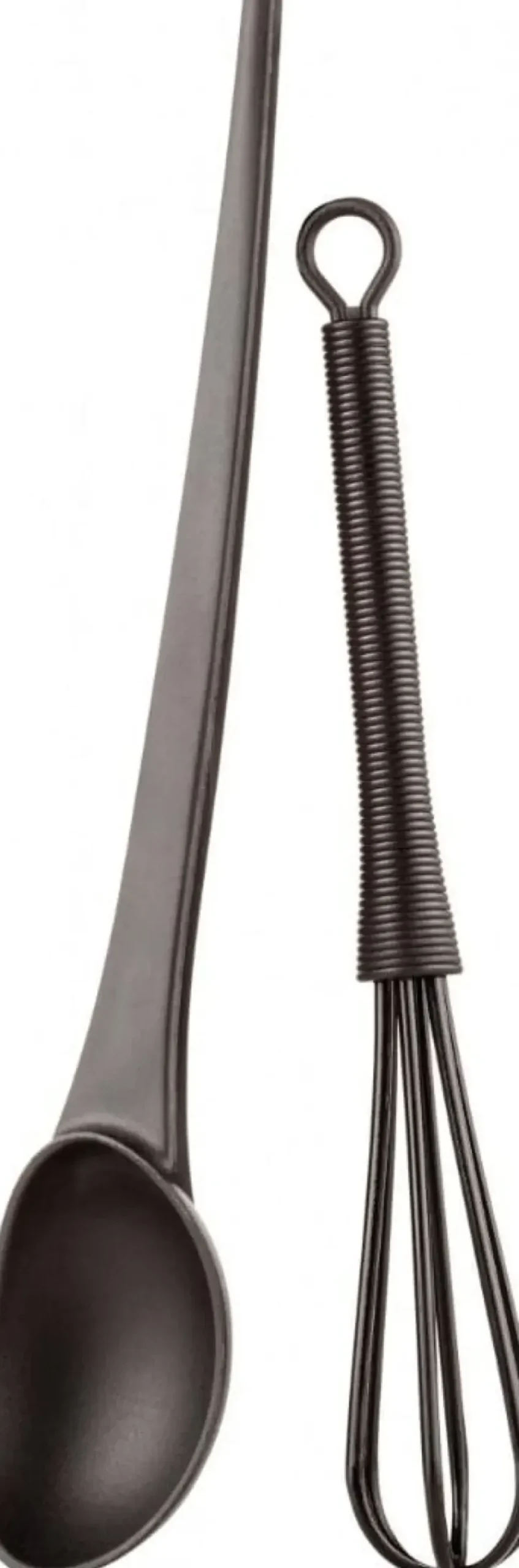 XanitaliaPro Hair Color Applicator Set in Black