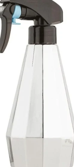 XanitaliaPro - Silver Sprayer - 300 ml