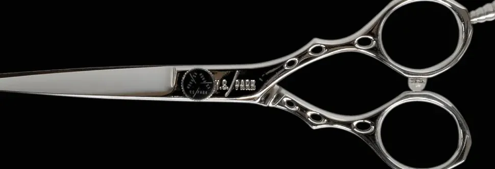 YS Park AS 55 Hairdressing scissors 5,5