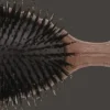 YS Park Beetle Brush 68AS1