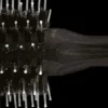 YS Park Tiger Carbon Brush No 510